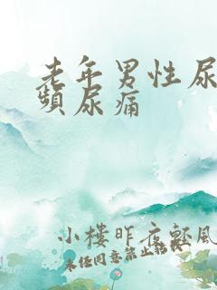 老年男性尿急尿频尿痛