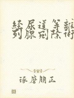 经尿道等离子前列腺剜除术