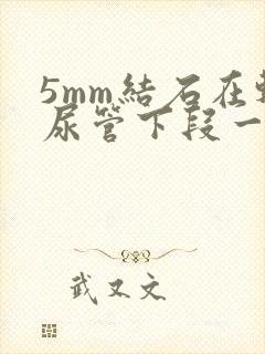 5mm结石在输尿管下段一般多久能排出