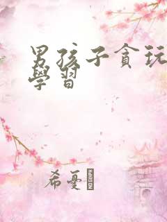 男孩子贪玩不爱学习