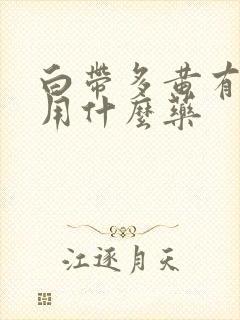 白带多黄有异味用什么药