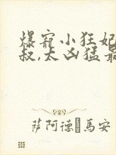 爆宠小狂妃:皇叔,太凶猛最新章节