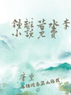 钟离若水李辰安小说免费