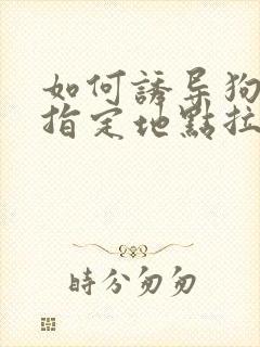 如何诱导狗狗到指定地点拉屎撒尿