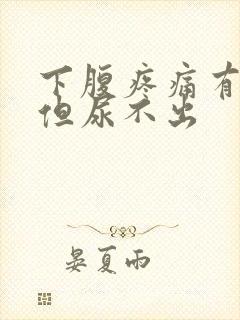 下腹疼痛有尿意但尿不出