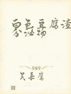 白色豆腐渣无味分泌物