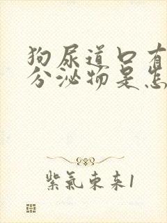 狗尿道口有白色分泌物是怎么回事