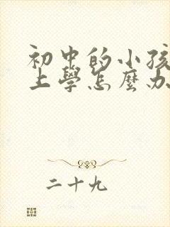 初中的小孩不想上学怎么办