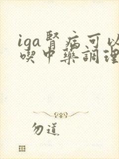 iga肾病可以吃中药调理吗