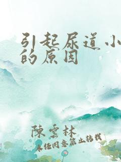 引起尿道小水泡的原因