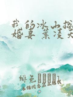 我的冰山总裁未婚妻 叶凌天