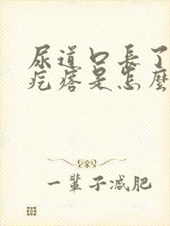 尿道口长了个肉疙瘩是怎么回事