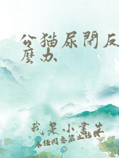 公猫尿闭反复怎么办