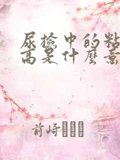 尿检中的粘液丝高是什么意思