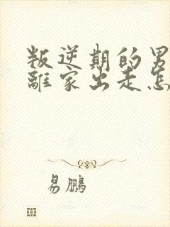 叛逆期的男孩子离家出走怎么去引导初中生