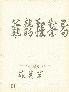 父亲节对已故父亲的怀念句子