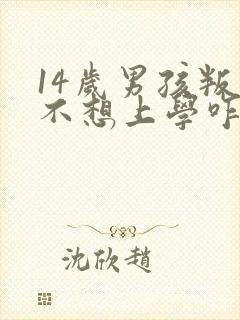 14岁男孩叛逆不想上学咋办