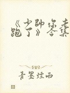 《少帅你老婆又跑了》合集