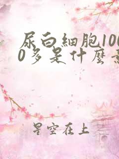 尿白细胞1000多是什么意思