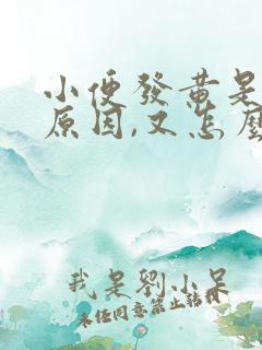 小便发黄是什么原因,又怎么解决?