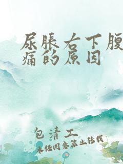 尿胀右下腹部隐痛的原因