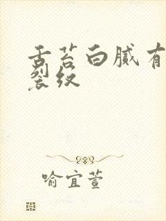 舌苔白腻有齿痕裂纹