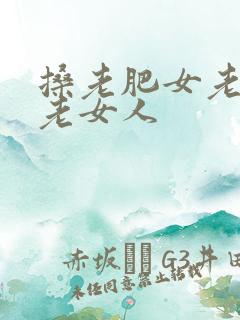 搡老肥女老熟女老女人