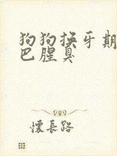 狗狗换牙期间嘴巴腥臭