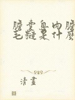 胆囊息肉胆囊壁毛糙是什么意思