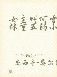 女主叫何雪男主林重五的小说
