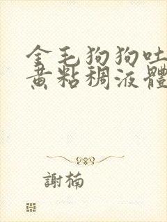 金毛狗狗吐了黄黄粘稠液体