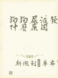 狗狗尿液发黄是什么原因