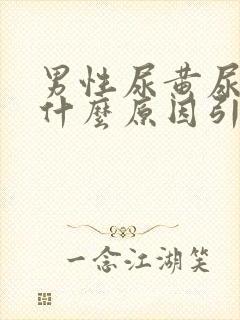 男性尿黄尿血是什么原因引起的