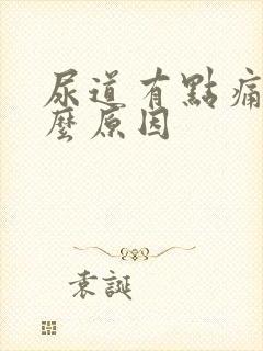 尿道有点痛是什么原因