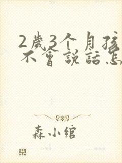 2岁3个月孩子不会说话怎么办