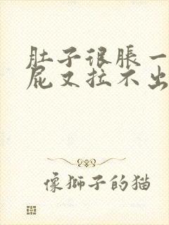 肚子很胀一直放屁又拉不出屎又不舒服