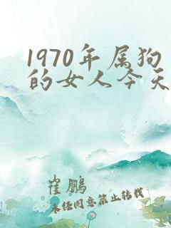 1970年属狗的女人今天财运