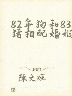 82年狗和83猪相配婚姻如何