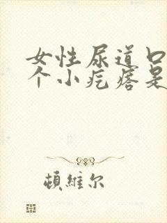 女性尿道口有一个小疙瘩是怎么回事