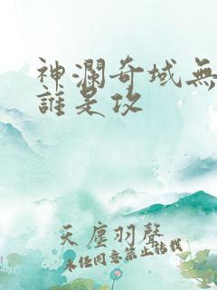 神澜奇域无双珠谁是攻