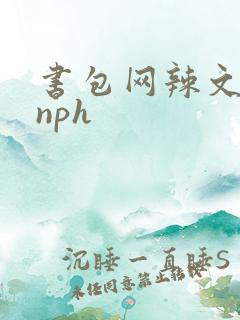 书包网辣文古代nph