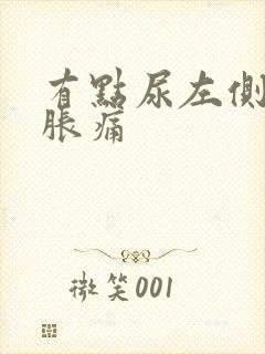 有点尿左侧腰就胀痛