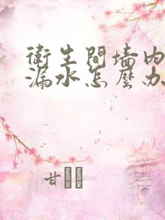 卫生间墙内水管漏水怎么办