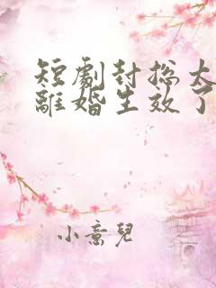 短剧封总太太的离婚生效了免费