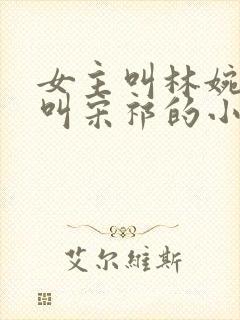 女主叫林婉男主叫宋祁的小说