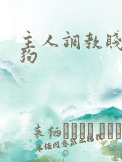 主人调教贱货母狗