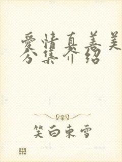 爱情真善美剧情分集介绍