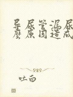 导尿管漏尿是什么原因造成的