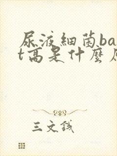 尿液细菌bact高是什么原因