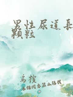 男性尿道长了小颗粒